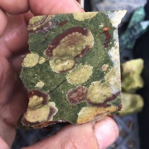 rainforest rhyolite